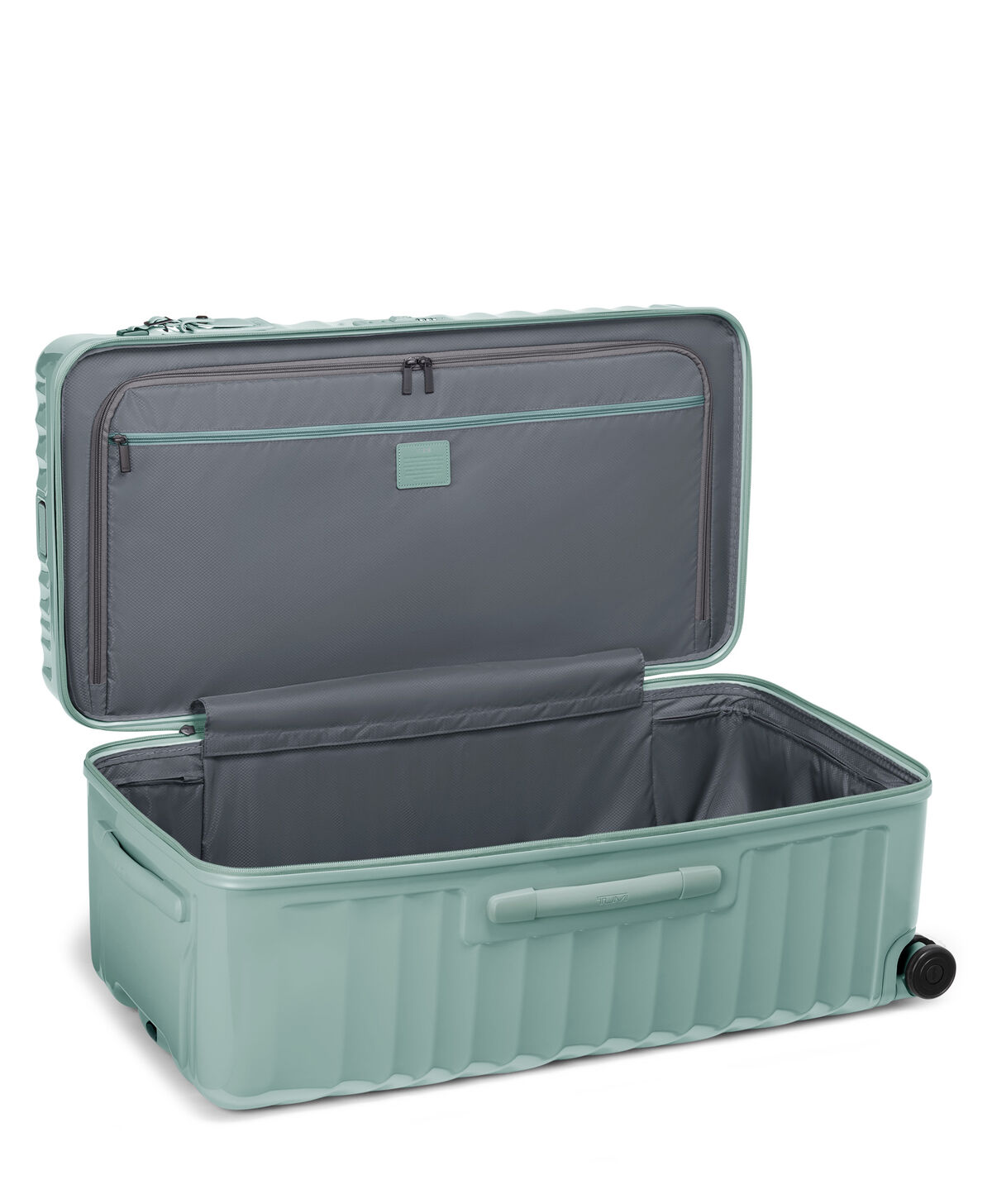 19 Degree Trunk Large