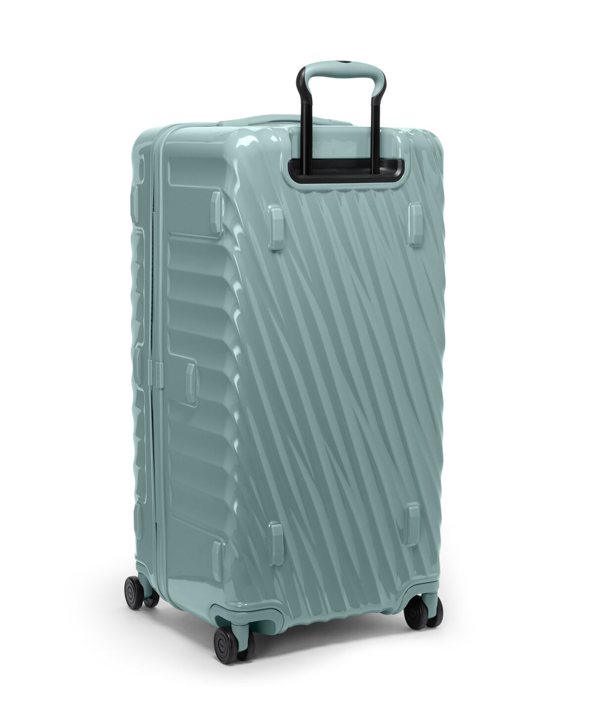 19 Degree Trunk Large