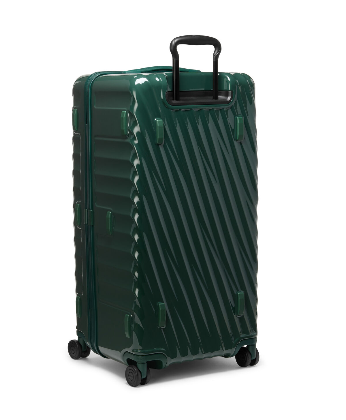 19 Degree Trunk Large